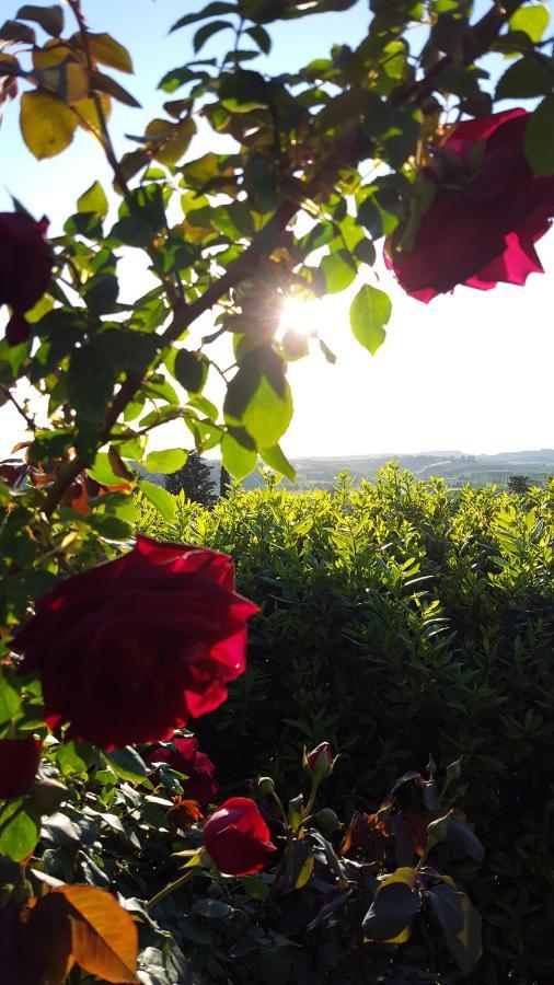 Sunset Hill - Tuscany - Villa & Private Pool Castelfiorentino Exterior foto