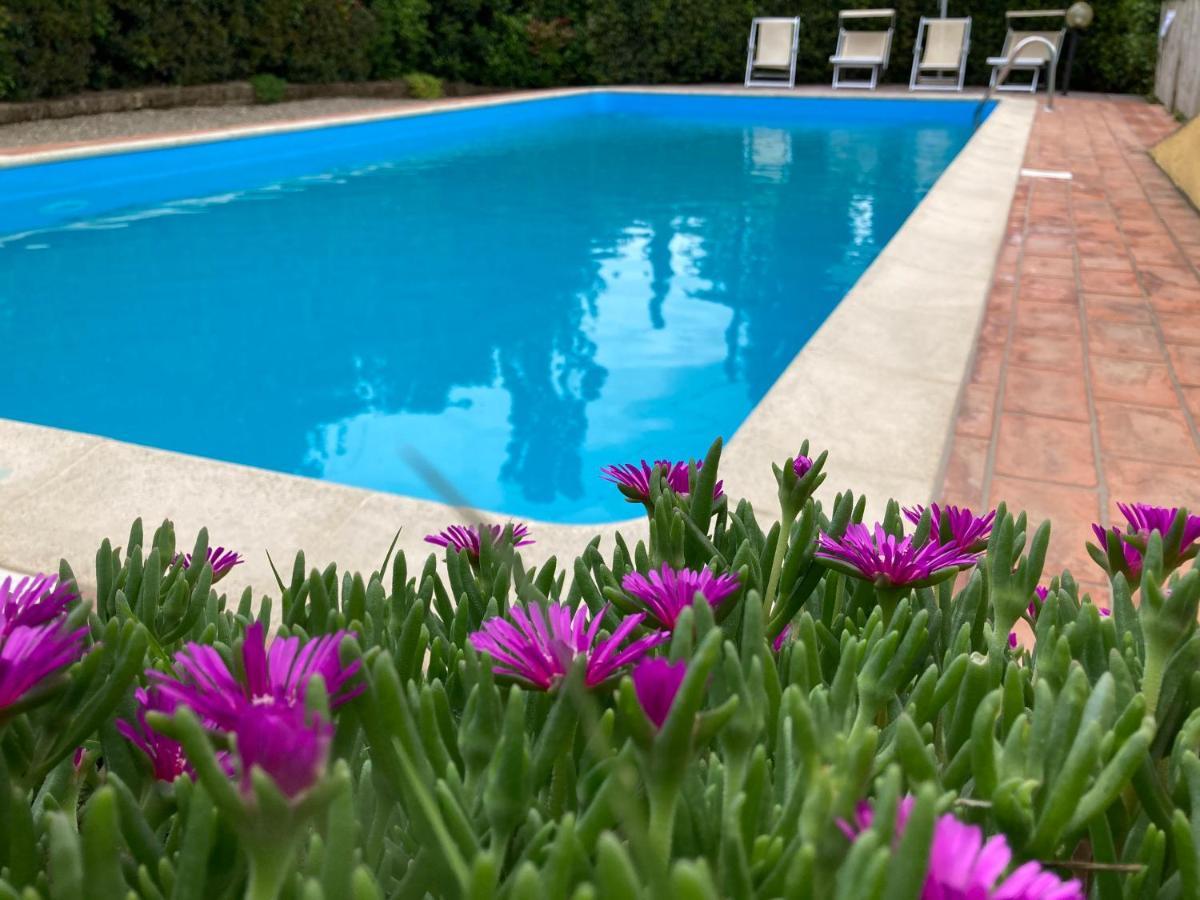 Sunset Hill - Tuscany - Villa & Private Pool Castelfiorentino Exterior foto