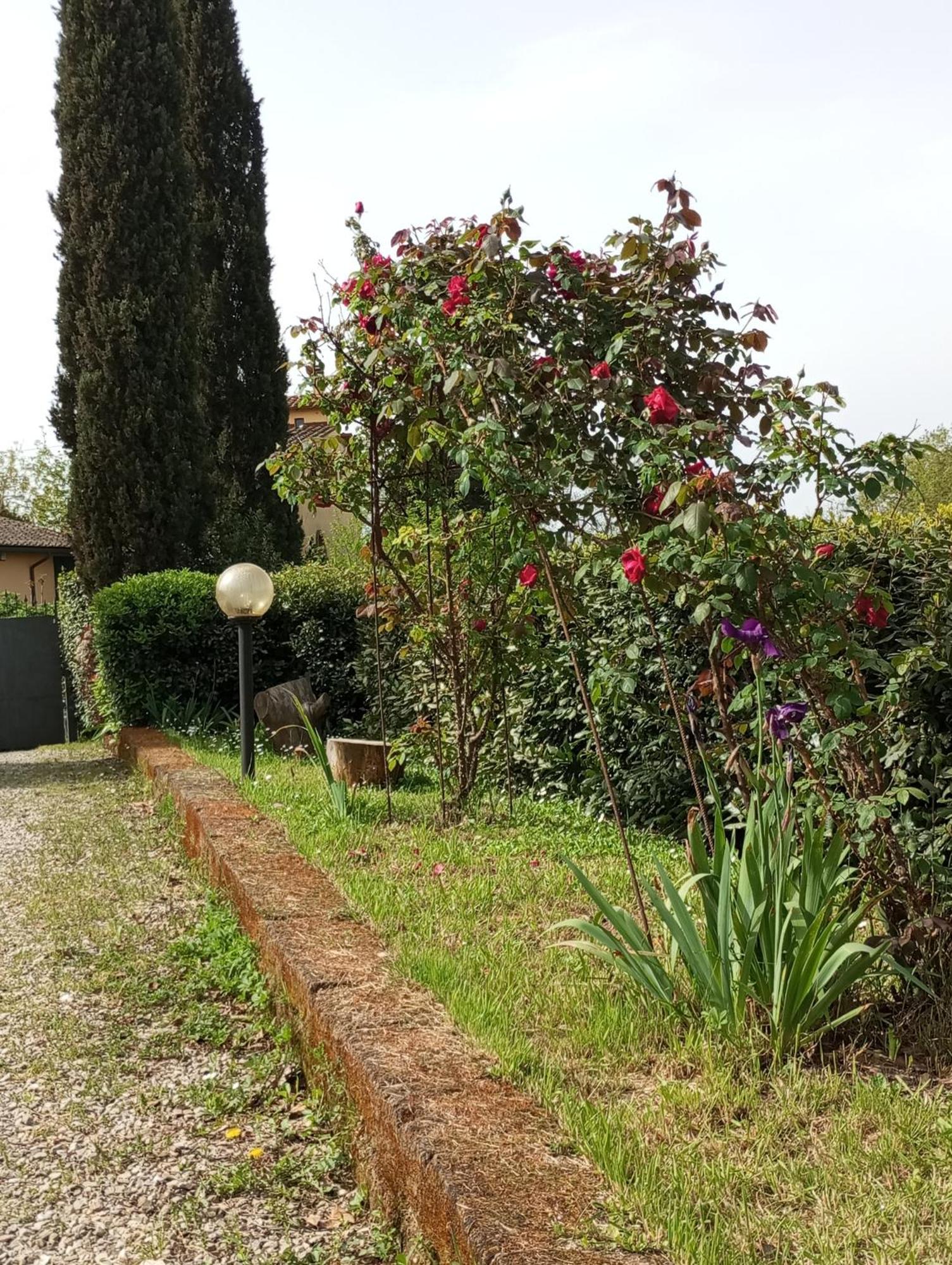 Sunset Hill - Tuscany - Villa & Private Pool Castelfiorentino Exterior foto